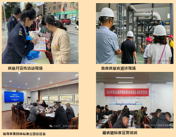 /UploadFile/News/20251217/5002bd764e184866a1d975d421b5d5ae.png image.png